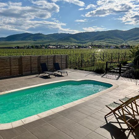 Gite Proche Colmar Vignoble Wettolsheim Eksteriør billede
